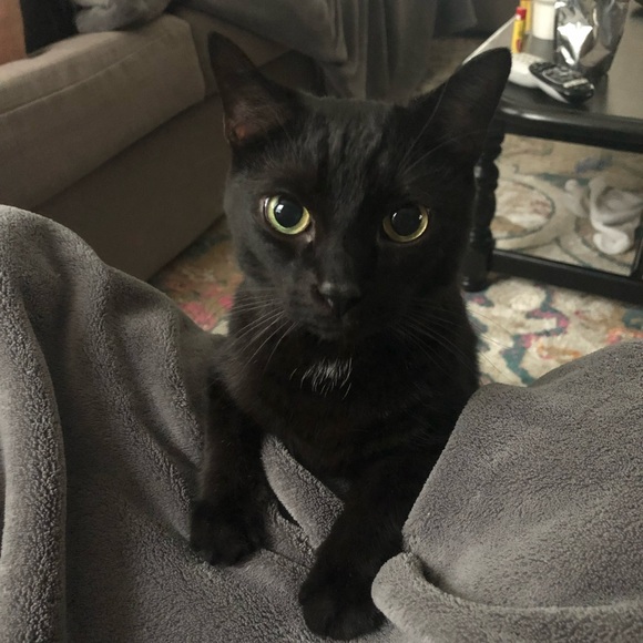 Stefani G. - Picture 6 of 6